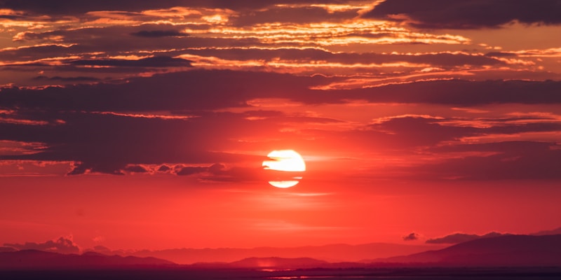 观众通过多设备观看必一平台体育直播的场景